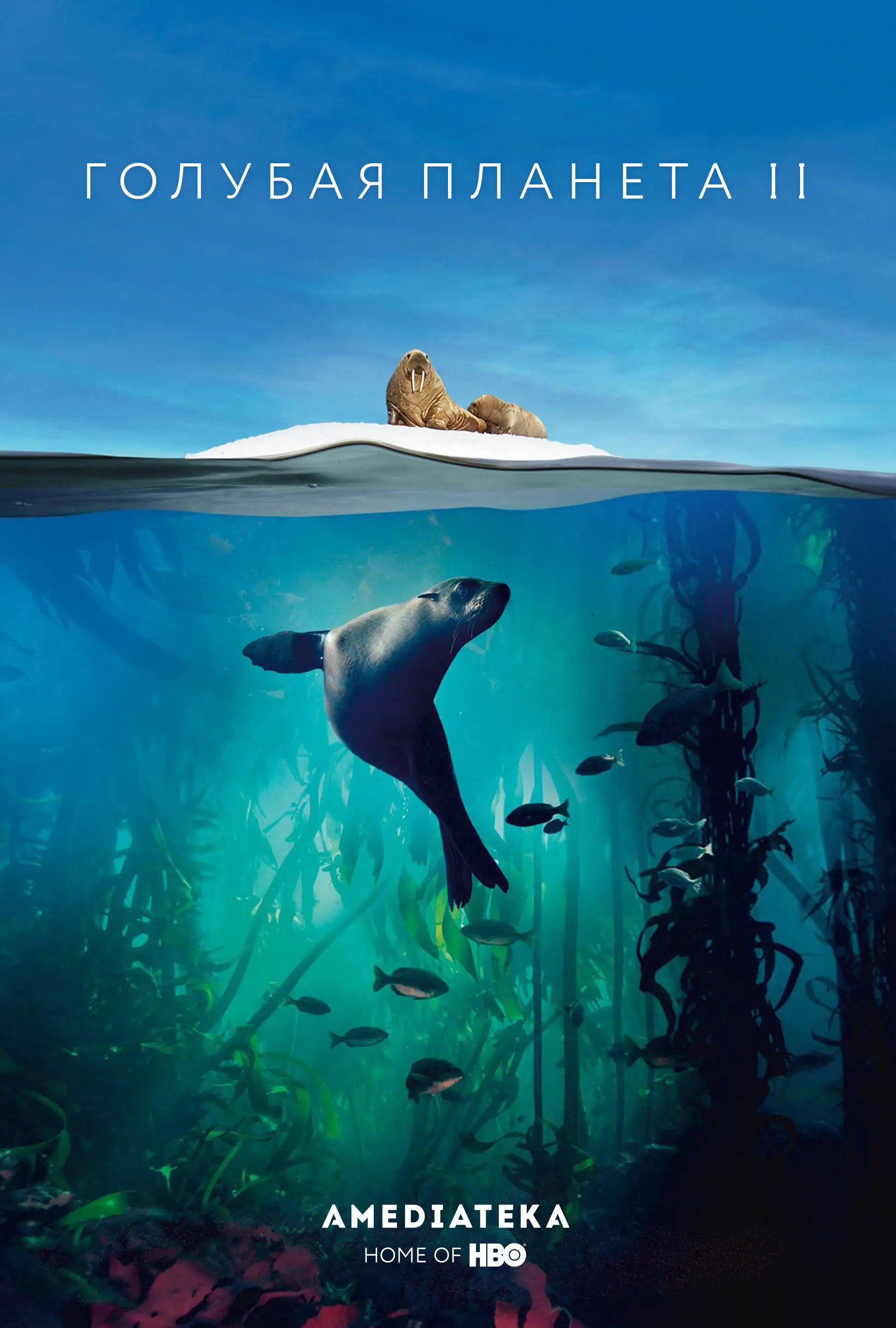  Голубая планета 2 | BBC Earth Blue Planet II (2017) 