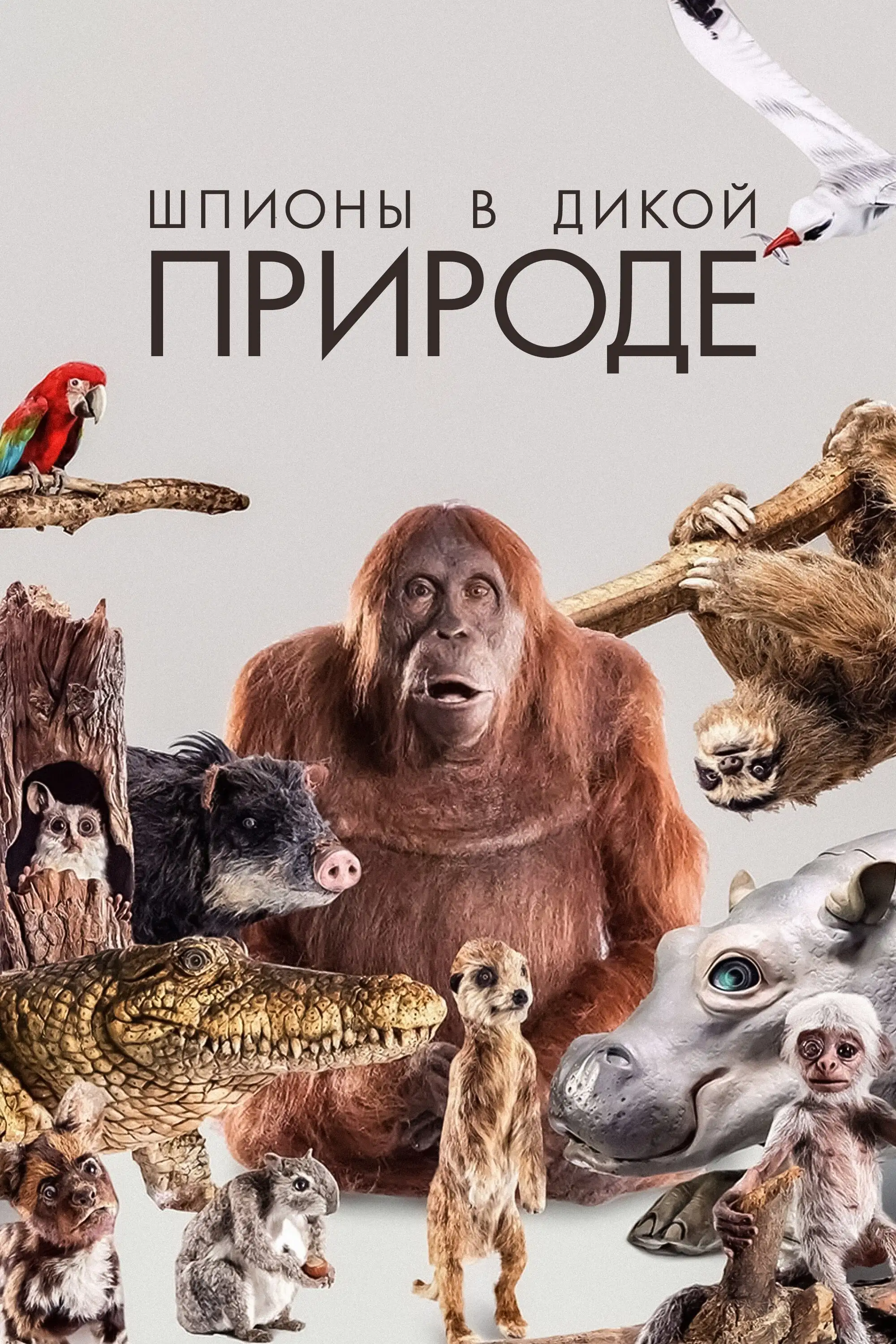  Шпионы в дикой природе | Earth Spy In The Wild (2017) 
