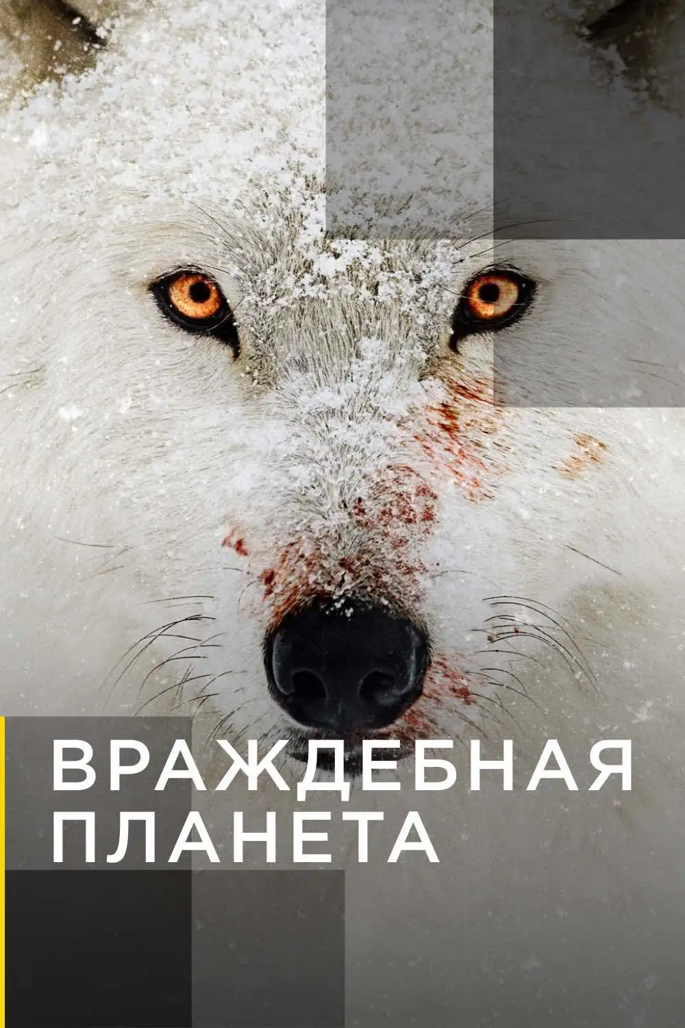  Враждебная планета | Hostile Planet (2019) 