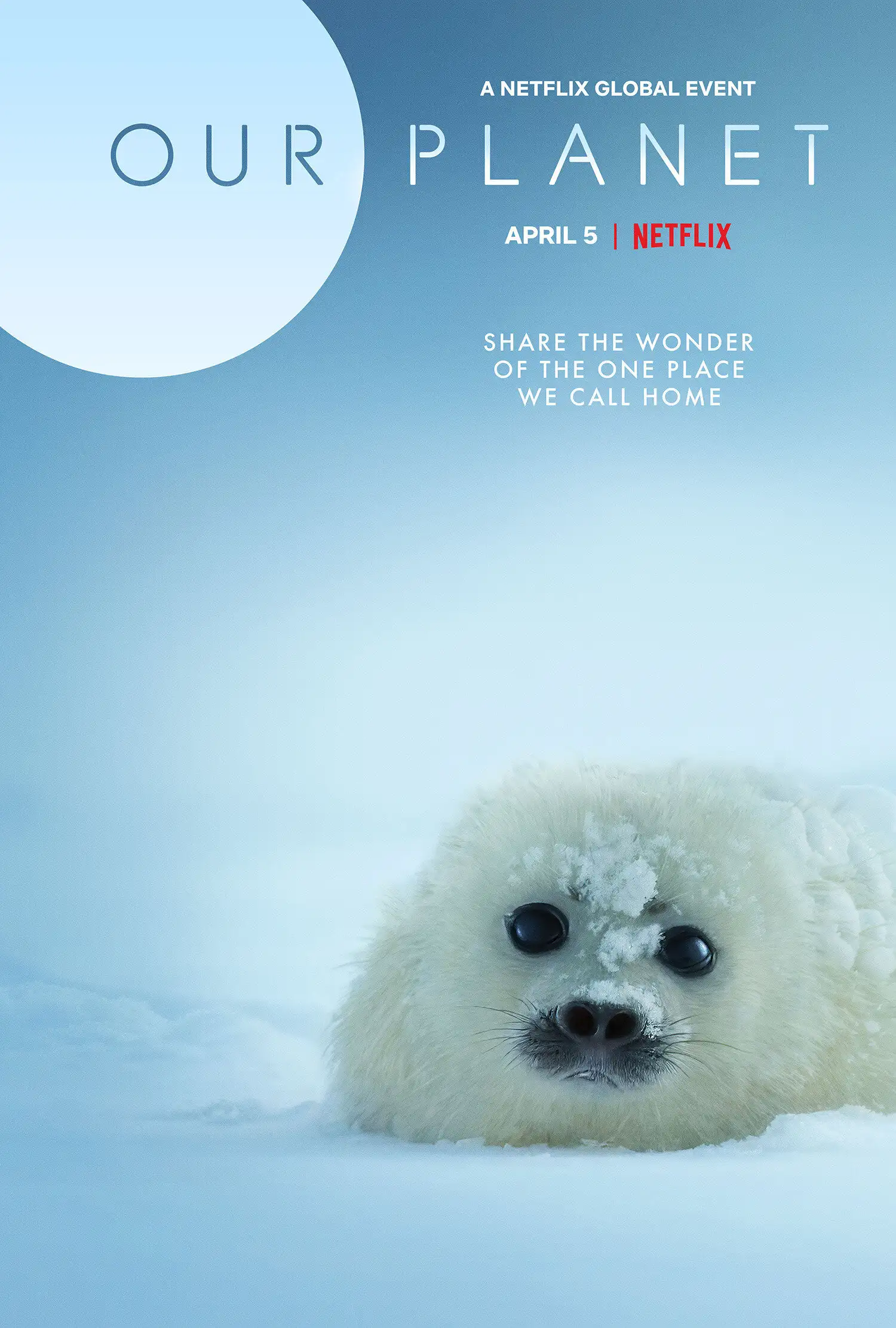  Наша планета | Our Planet (2019) 