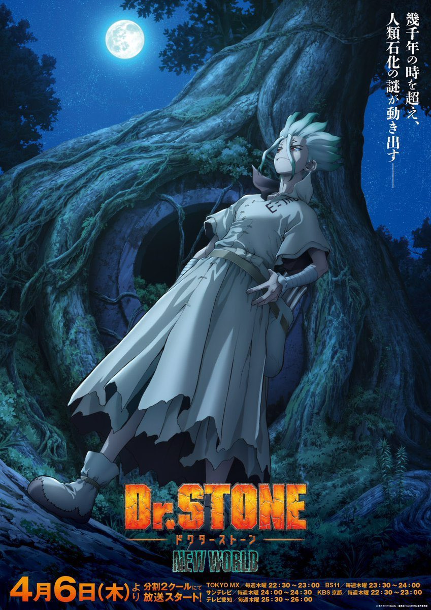  Доктор Стоун | Dr. Stone (2019) 