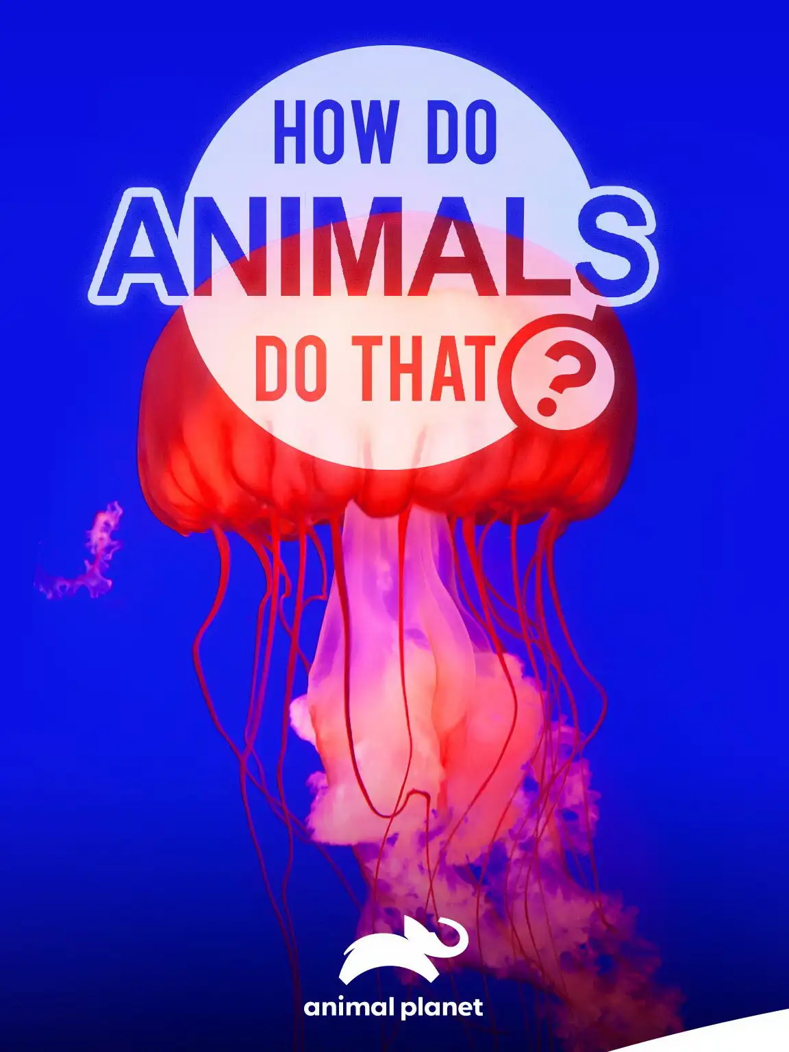 Удивительный мир животных | How do Animals do That (2019) 