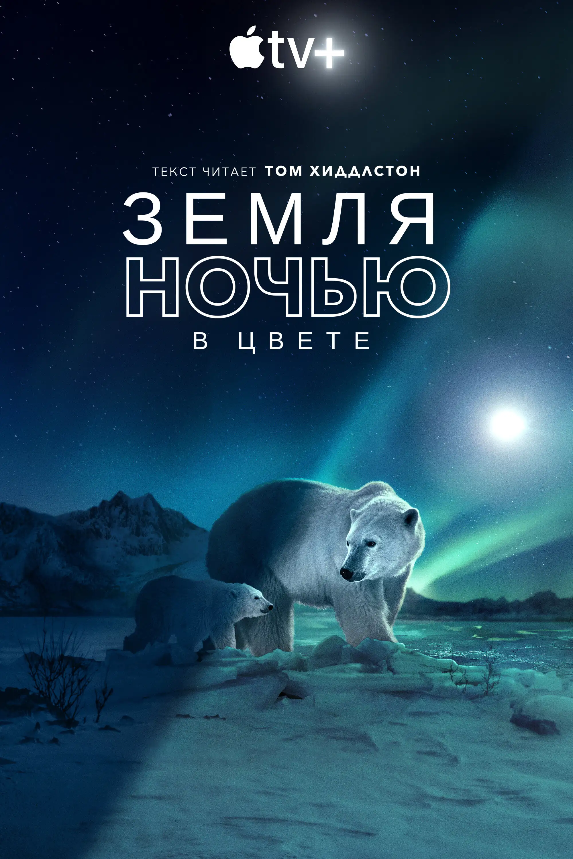  Земля ночью в цвете | Earth at Night in Color (2020) 