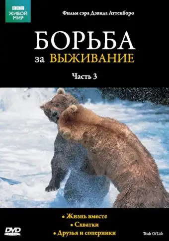  BBC: Борьба за выживание | The Trials of Life (1990) 