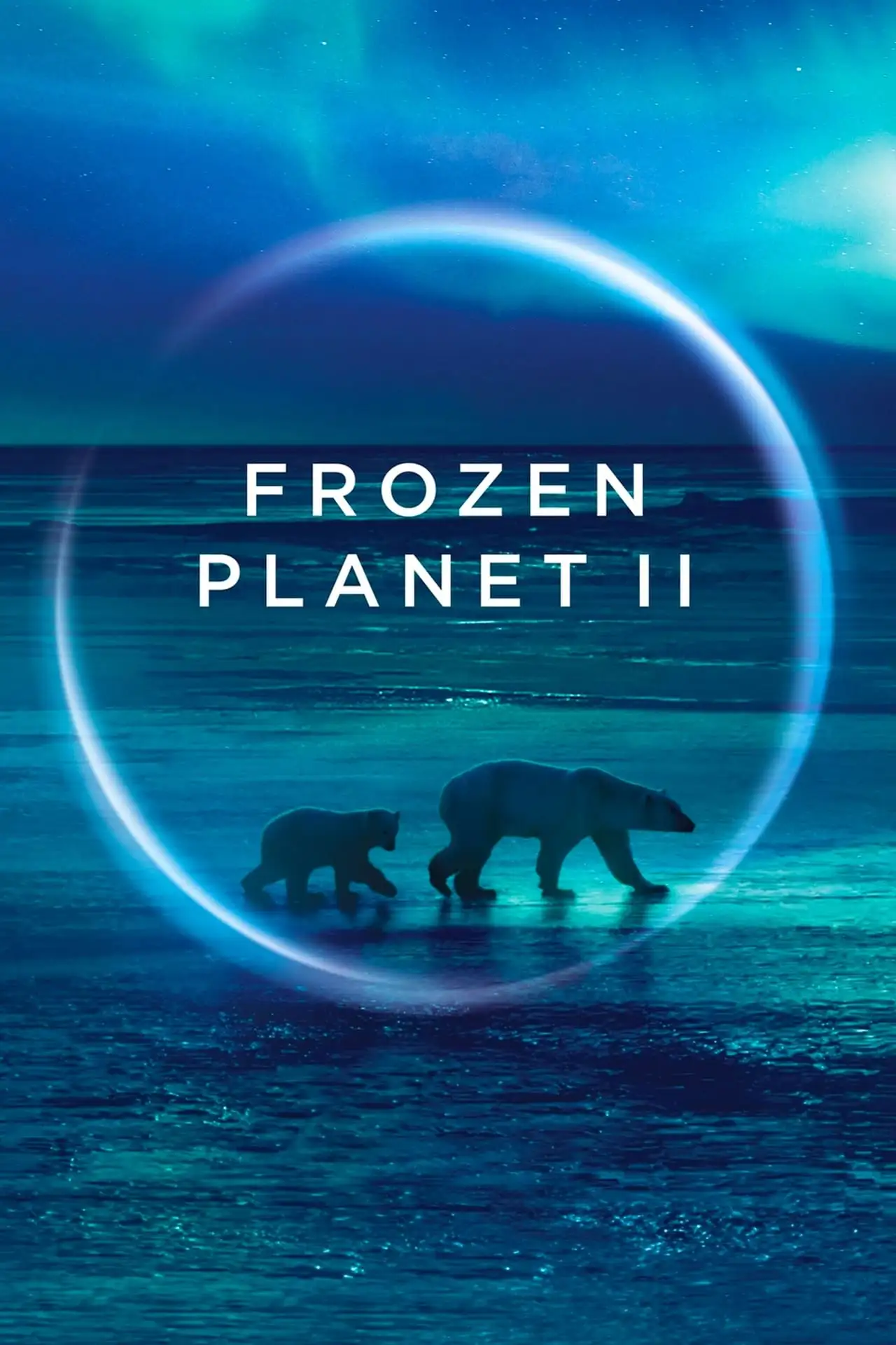  BBC. Замёрзшая планета 2 | Planet Earth: Frozen Planet II (2022) 