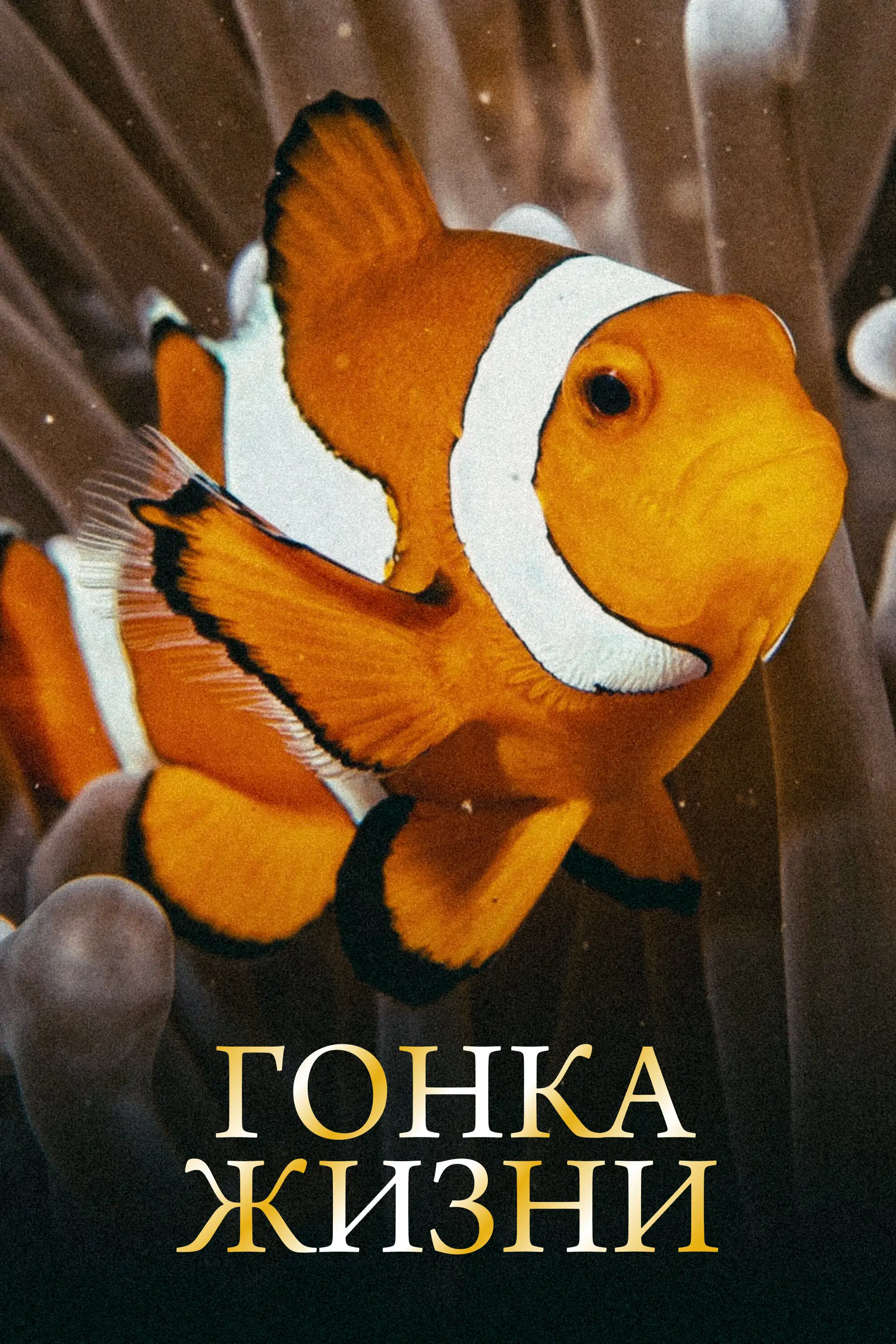 Гонка жизни | Race of Life (2015)