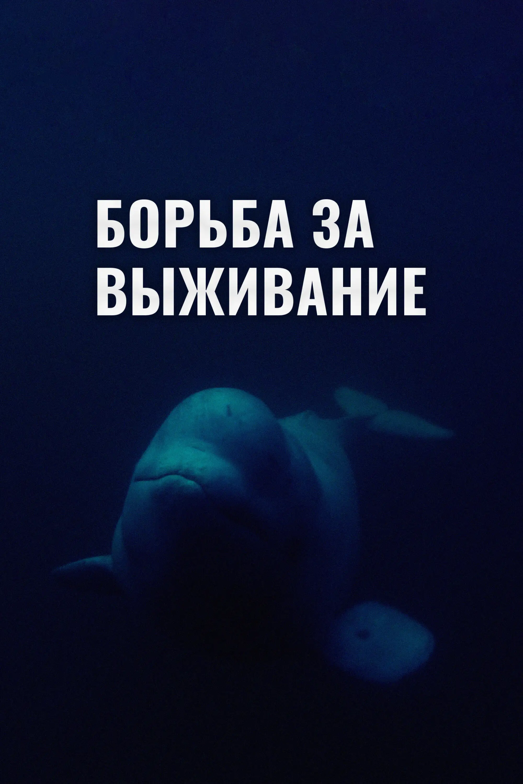 Борьба за выживание | Struggle for survival (2017)