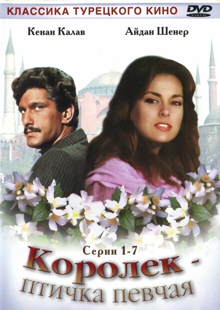 Королёк – птичка певчая | Çalıkuşu (1986)