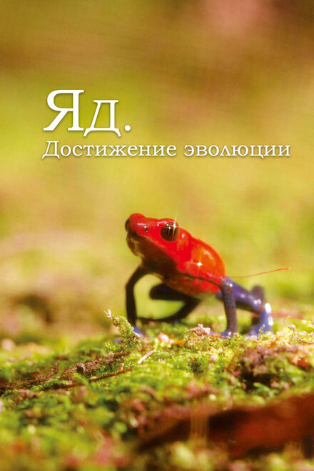 Яд. Достижение эволюции | Poison, an evolutionary mystery (2015)