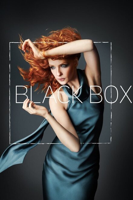 Чёрный ящик | Black Box (2014)