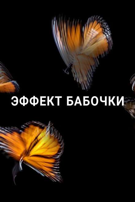 Эффект бабочки | Butterfly Effect (2016)